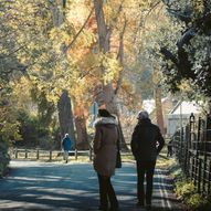 Free guided walk: Walk the walls at Lyme