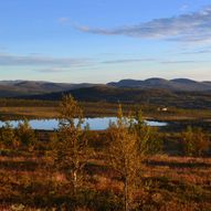 Vestfjellhytta - Slifjell 1042 moh