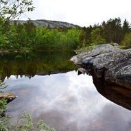 Heggmokulpen i Bodø