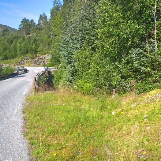 Ullebø - Ullebødalen - Storedalen - Karidalen - Nyksvatn - Årbergsstølen - Årbergsdalen