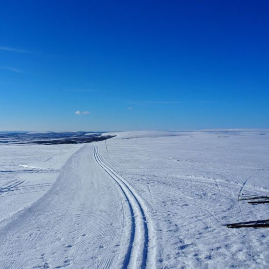 Skiløyper i Vadsø kommune