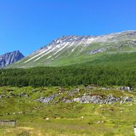 Torvløysa(1851m) frå Herdalen