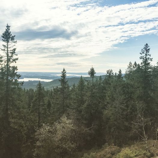 Trivelig topptur til Mellomkollen i Maridalen