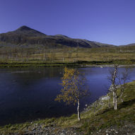 Geitfjelltinden