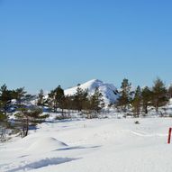 Tur til Longavatnet, via Børkjelannsskaret.  Vikebygd