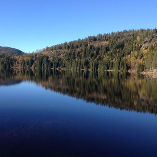 Reiårsvatnet rundt