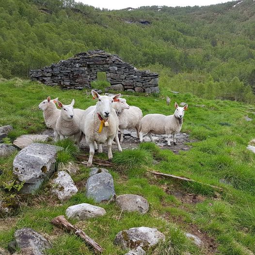 Øvrebotnen - Loftsteinen - Øyastølen