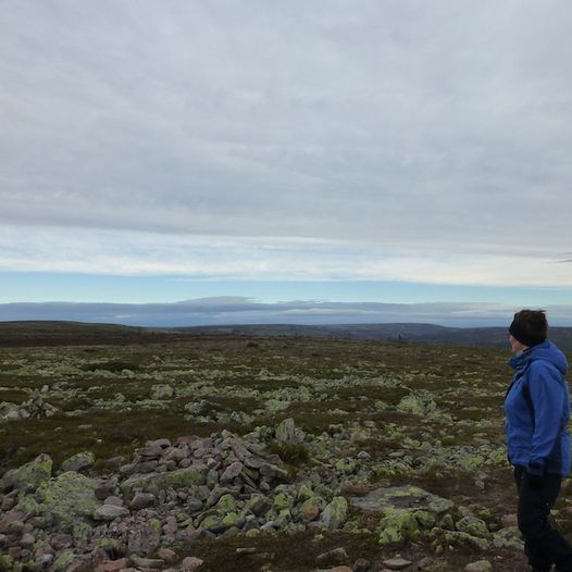 Fulufjellet Nasjonalpark