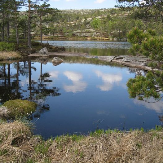 Rundt Maristjenn i Gjerstad