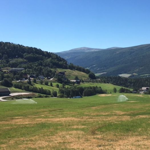 Dombåshaugrunden - "beinstrekkertur" i Dombås sentrum