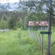 Topptur til Storefjellet i Gaular kommune