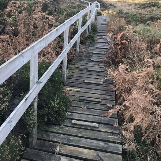 Botnelabo - Lambereva - Lisethøgda