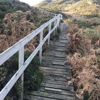 Botnelabo - Lambereva - Lisethøgda