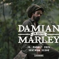 Damian «Jr. Gong» Marley