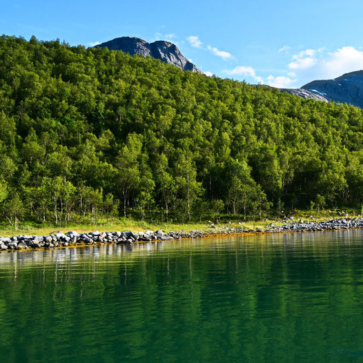 Nevelsfjorden på Kjerringøy