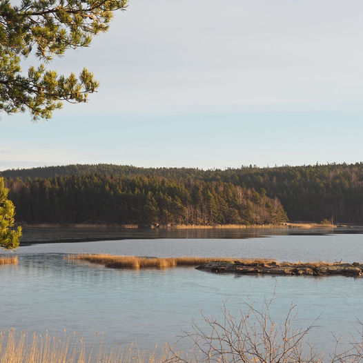 2. Tunevannets vestside. Fra Tunevannes sydvestre ende til Holleby kirke