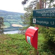 Topptur til Haugakampen
