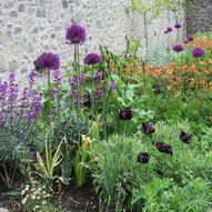 Charity Garden Opening - Chaplains' Court