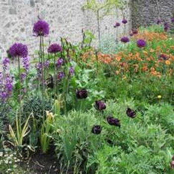 Charity Garden Opening - Chaplains' Court