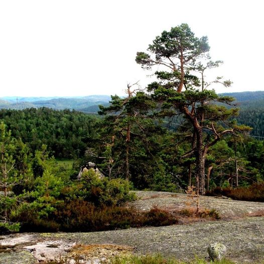  Frolands Verk – Einerfjell - Osevollen i Kverve  med avstikker til Blesehelleren