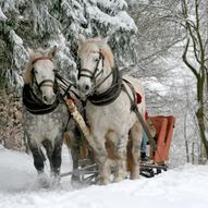 Kanefart på Åsli ridesenter