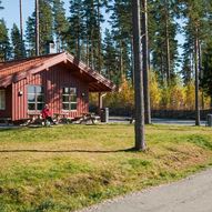 Skogstur Hauglifjellet rundt