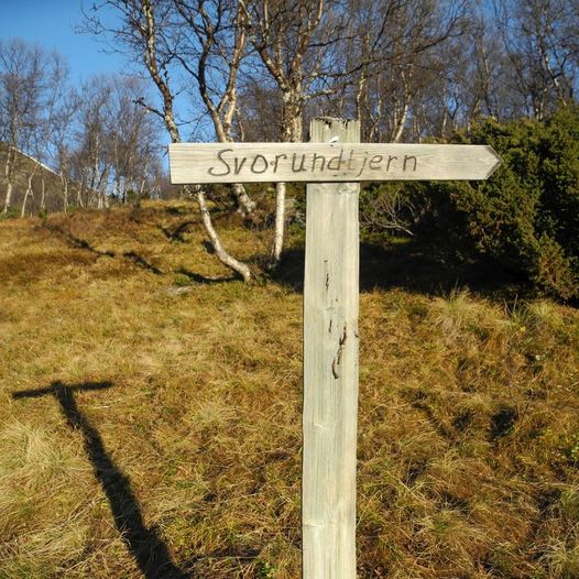 Svorundfjellet 1647 moh.