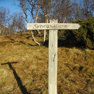 Svorundfjellet 1647 moh.