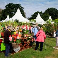 Wisley Flower Show