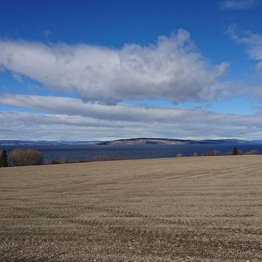 Rundtur innom Sotenodden og gravrøyser og muranlegg fra bronsealderen. 