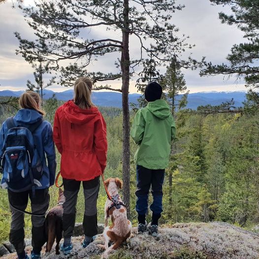 Topptur til Øygardsfjellet (350 moh)
