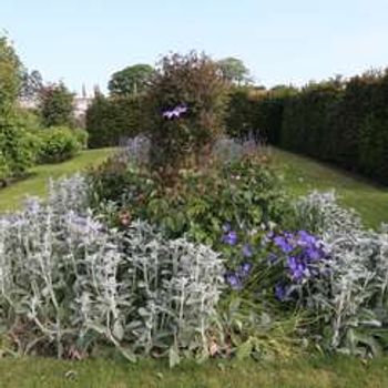 Charity Garden Opening - The Gardens at Archerfield Walled Garden