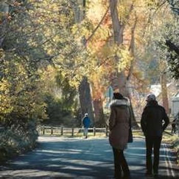 Uncovering the Secrets of Stirling's Old Cemetery - A Guided Walk