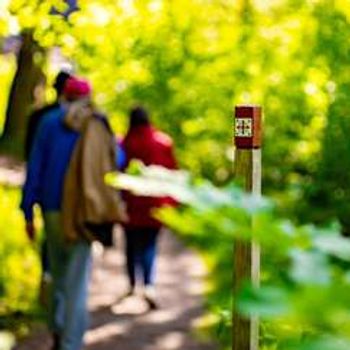 Olsokvandring 28.juli 2024: Elgåfoss-Berby