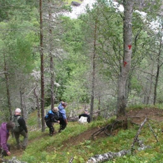 Gammelsetra til Vangshaugen via Lundlia