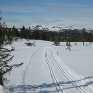 Skitur fra Darrebu til Minnesteinen