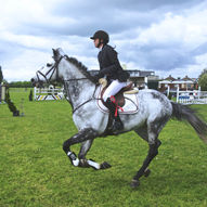 The Spanish Riding School Of Vienna