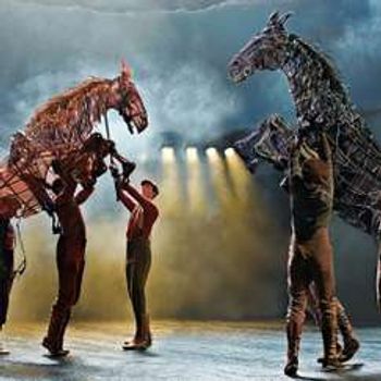 War Horse