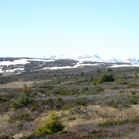 Rudt Kvislasyndin og Kårstadåni.