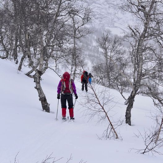 Skredå til Støle på ski