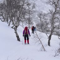 Skredå til Støle på ski