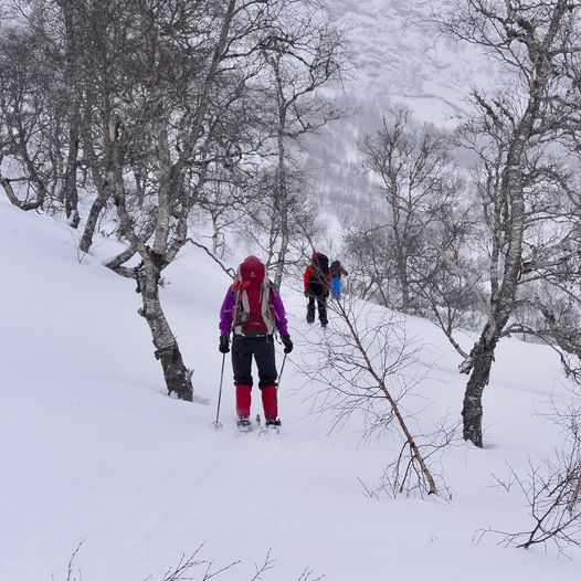 Skredå til Støle på ski