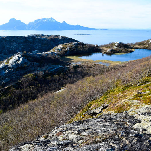 Fjelltur til Pallvatnet i Bodø