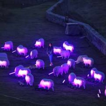 Illuminated Sheep Evenings – ‘Dreaming of Electric Sheep’