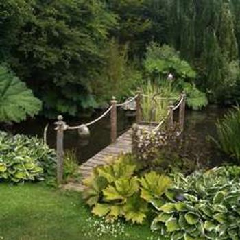 Charity Garden Opening - Bradystone House