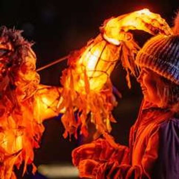 Lanterns and Light at Chester Zoo