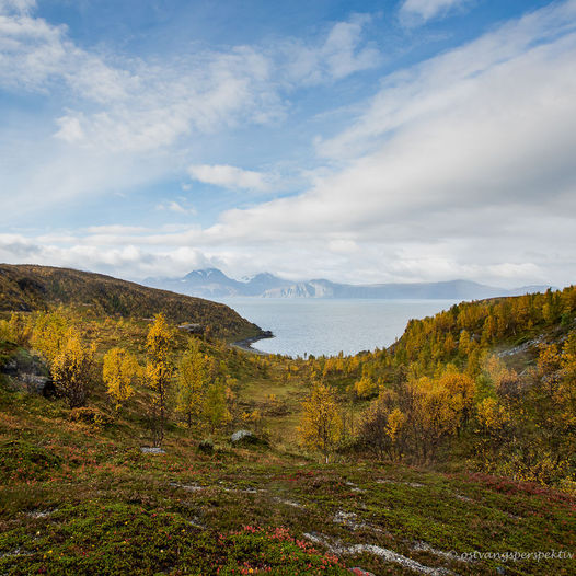 Vorterøya i Skjervøy kommune.