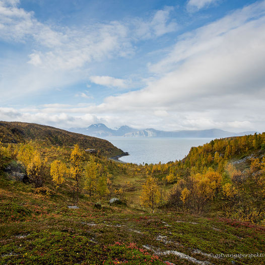 Vorterøya i Skjervøy kommune.