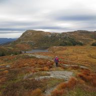 Gurigjerdet- Badnavatnet- Stølanuten (577 m.o.h.)