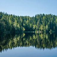 Skogstur fra Dammyra til Bæregtjernet, Agntjennslia, Kumyra, Torvmyra, Bjørnholen og Barkeplassen